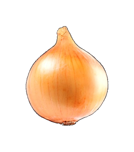 O glorious Onion!!